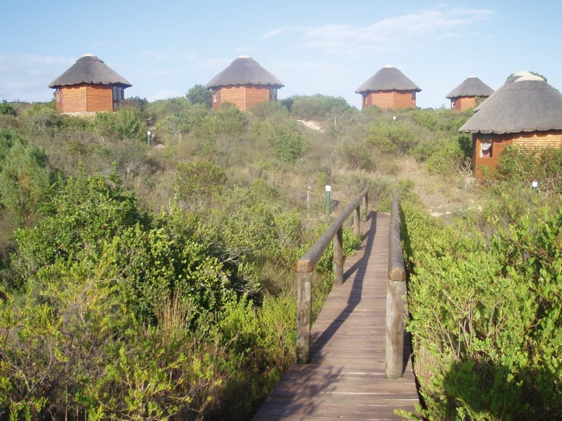 KeHa_in_South_Africa - 205